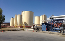 Petroleum Storage Services